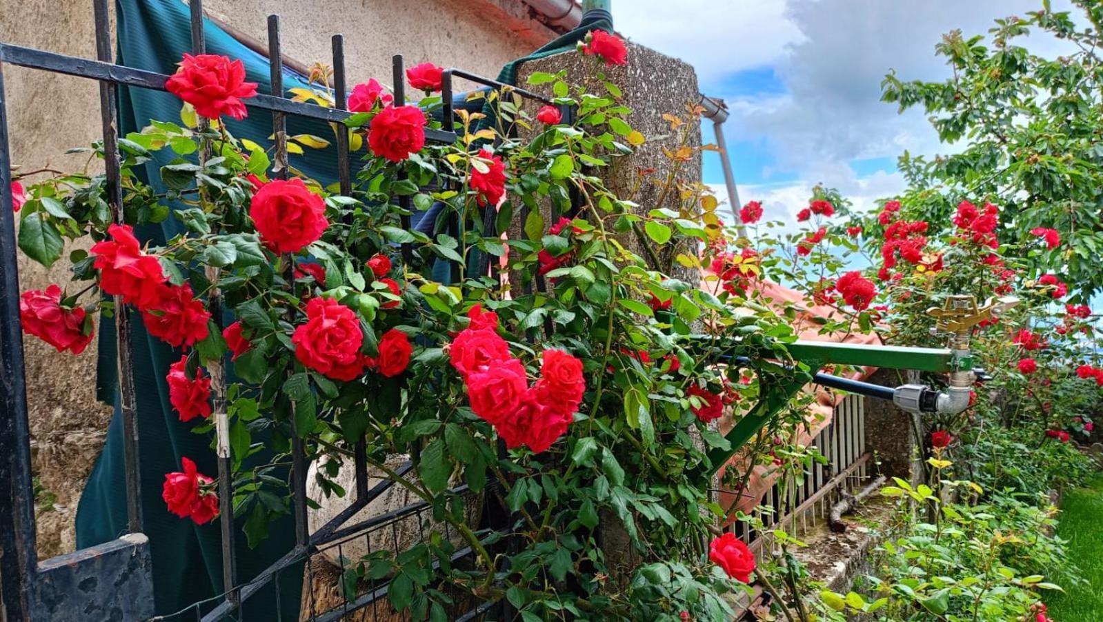 Locazione Turistica" La Rupe" Villa Marsicovetere Exterior photo